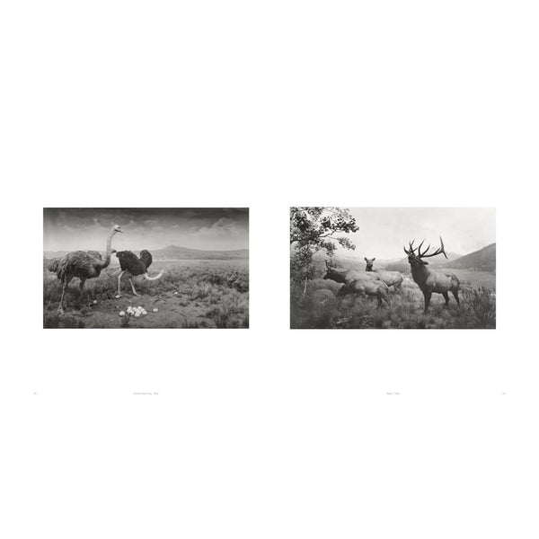51azAEPFDZL._SL1200_600x.jpg?v