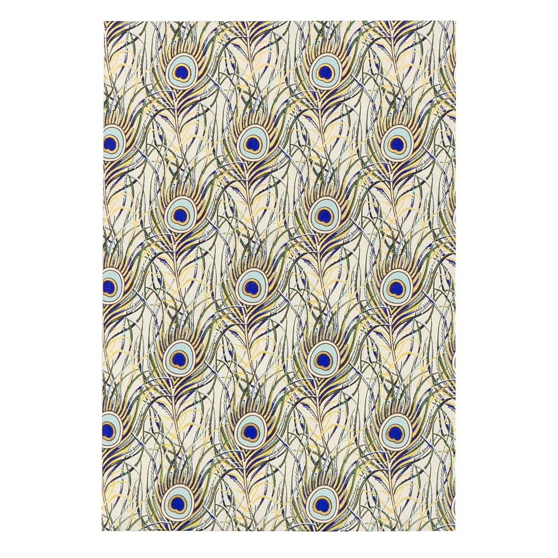Peacock Pattern Blank Notebook