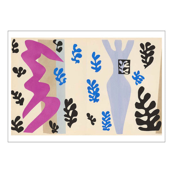 PCMJ_4_600x.jpg?v=1734805443