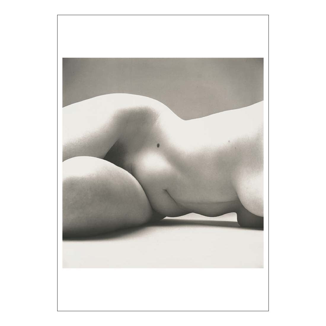 Irving Penn Nude No. 72 Postcard