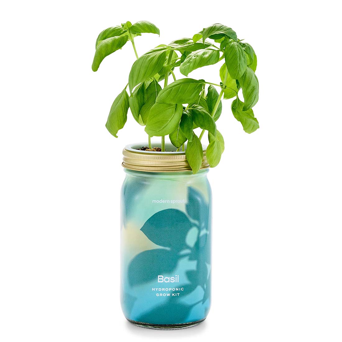 Basil Garden Jar Grow Kit