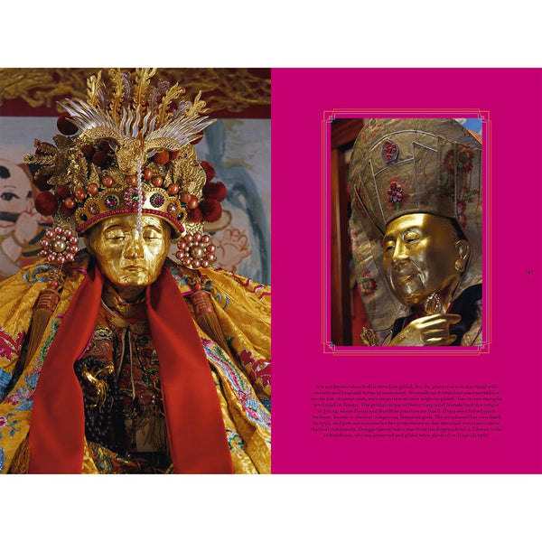 71eG-Lg1hbL_600x.jpg?v=1655931938