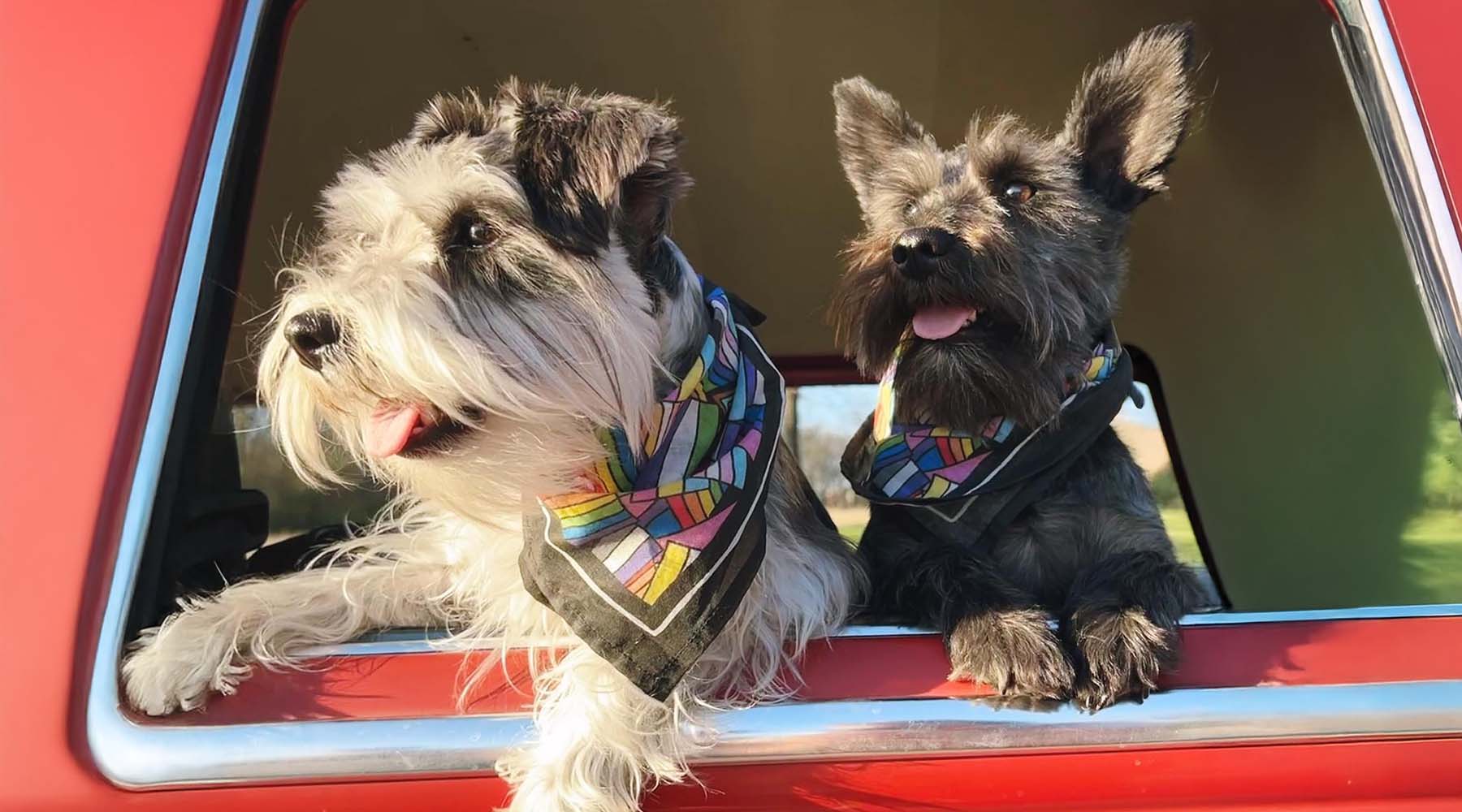 San Francisco Pride