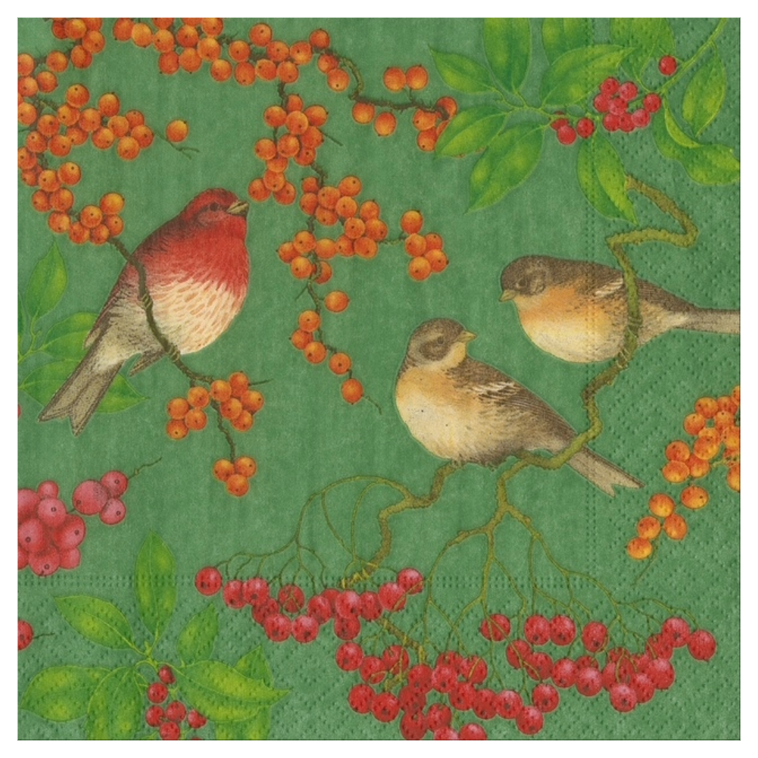 Birds & Berries Cocktail Napkins