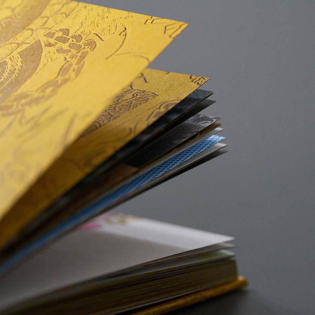 ONE PIECE ONLY Catalogue - Japanese Language