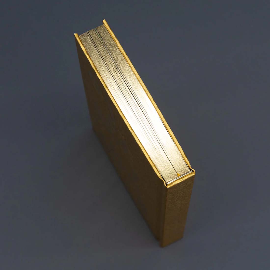 ONE PIECE ONLY Catalogue - Japanese Language