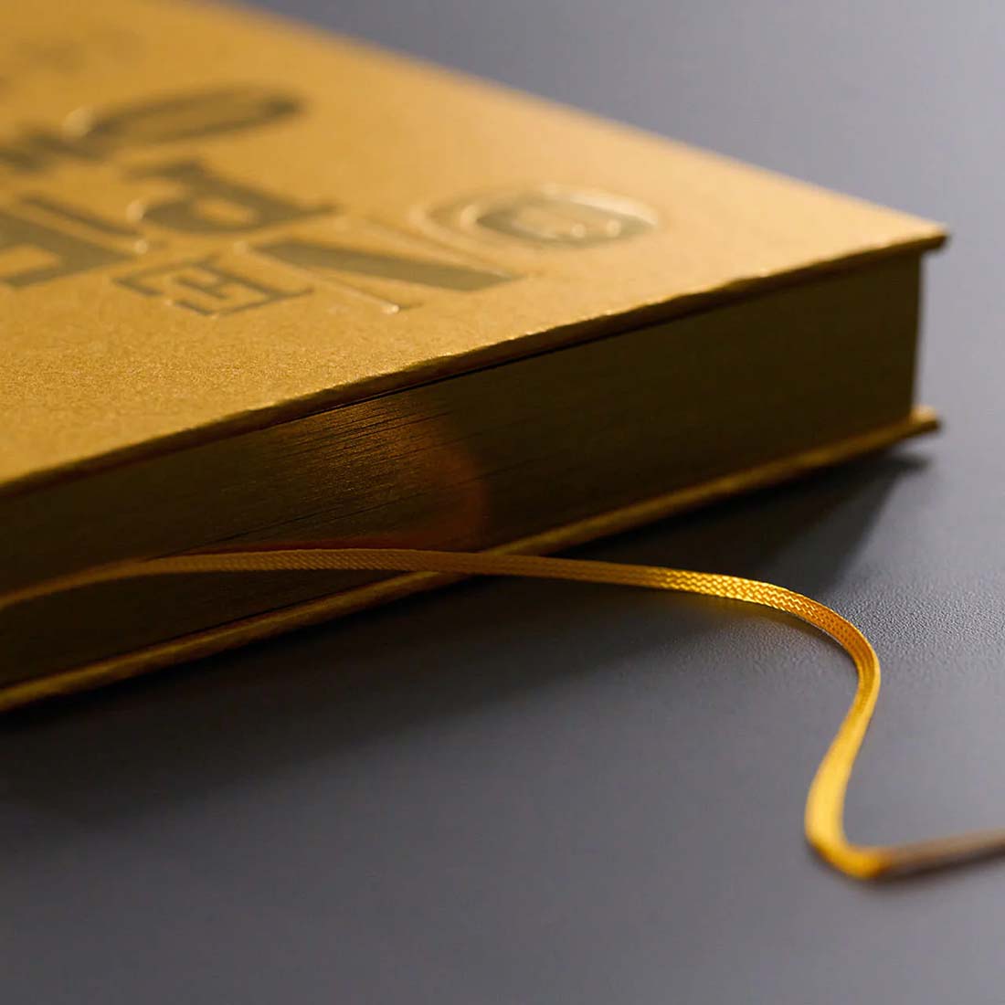 ONE PIECE ONLY Catalogue - Japanese Language