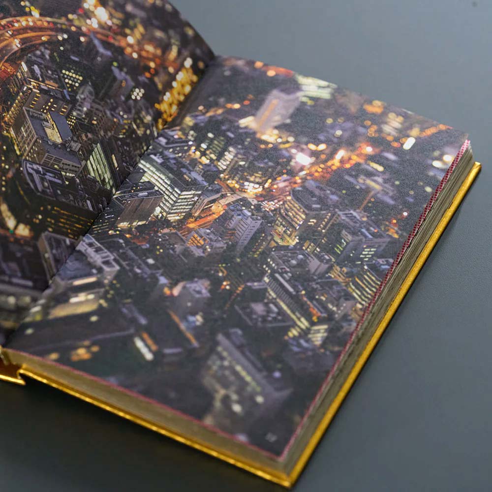 ONE PIECE ONLY Catalogue - Japanese Language