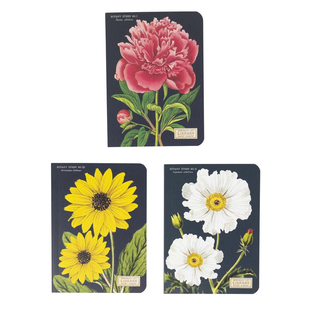 Botany Mini Journals