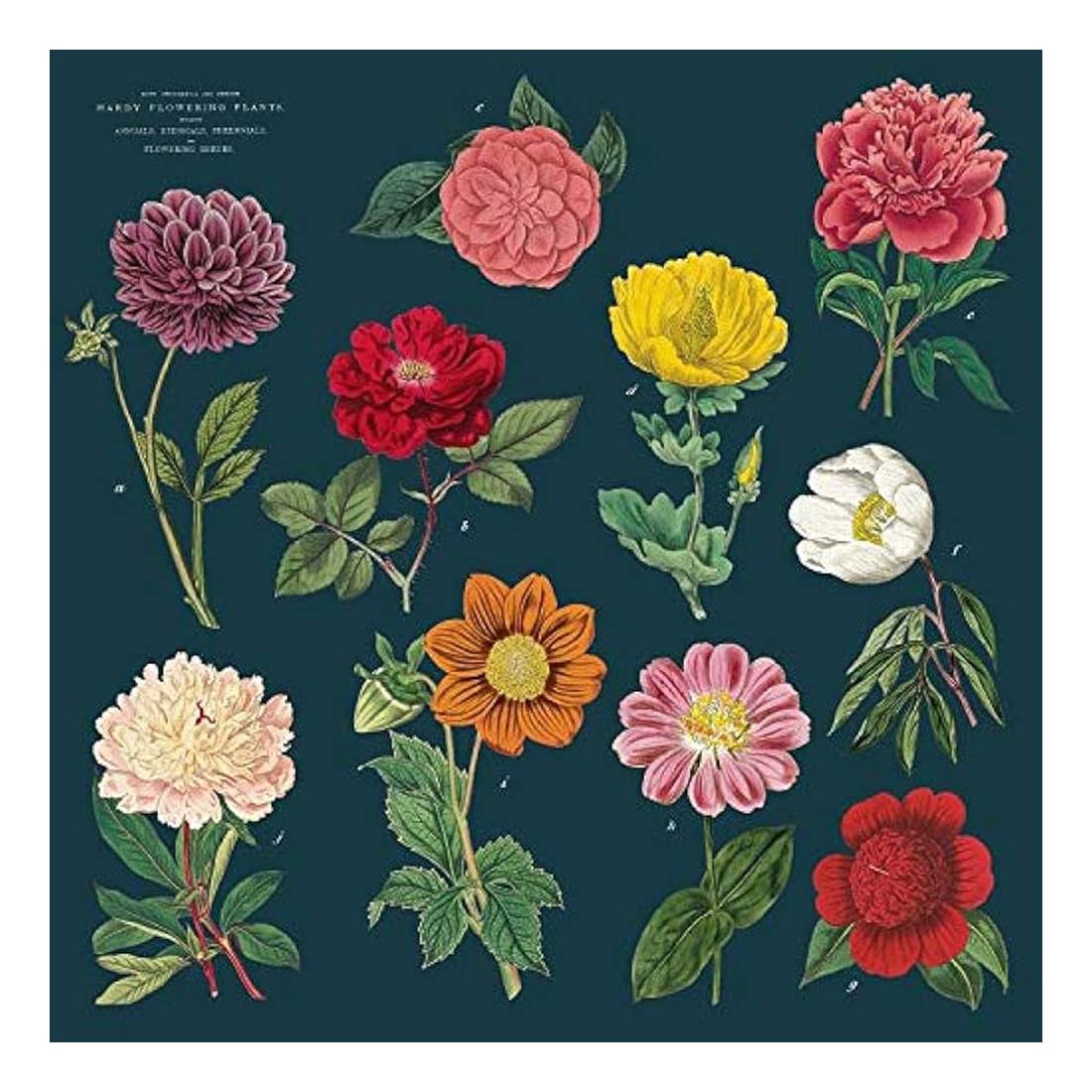 Botanica Cloth Napkin Set