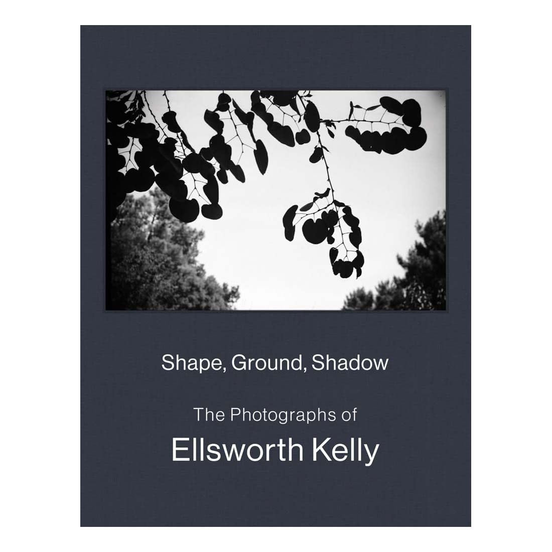 Shape Ground Shadow: The Photographs of Ellsworth Kelly