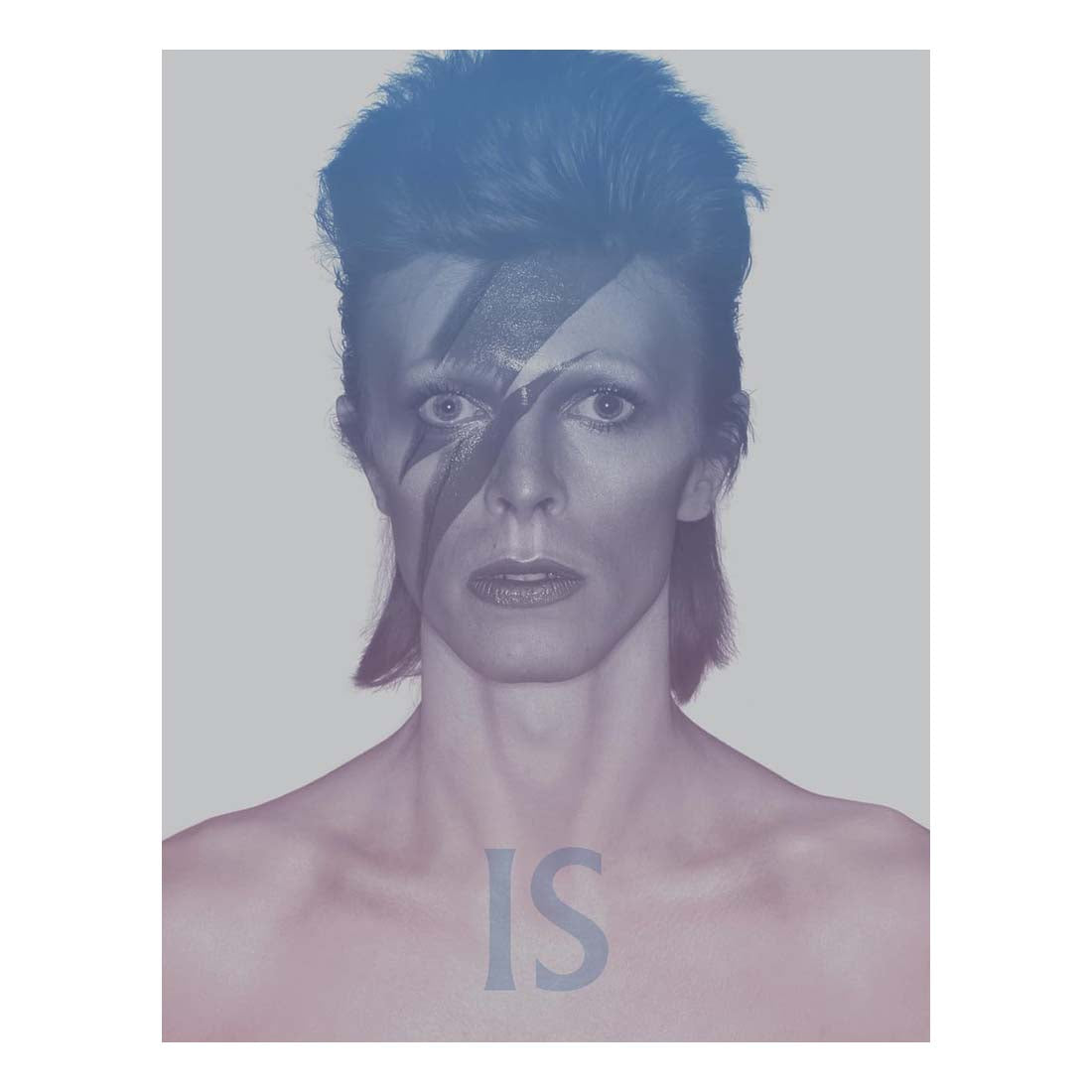 David Bowie Is