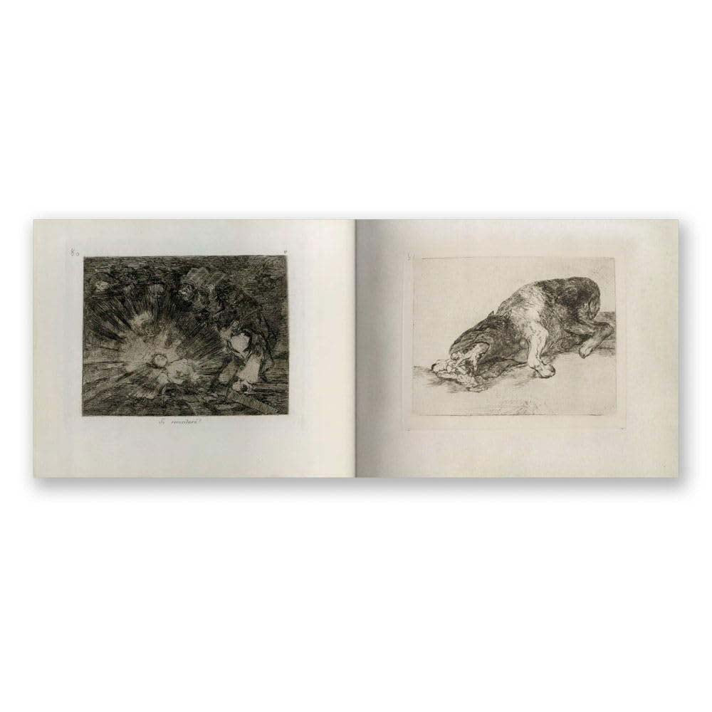 Goya: The Disasters of War