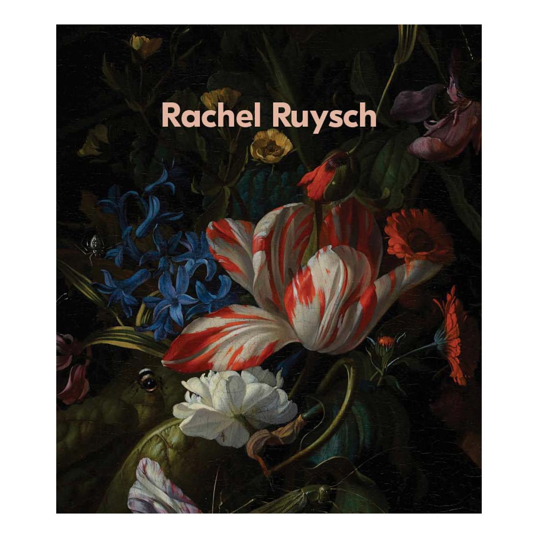 Rachel Ruysch: Nature into Art