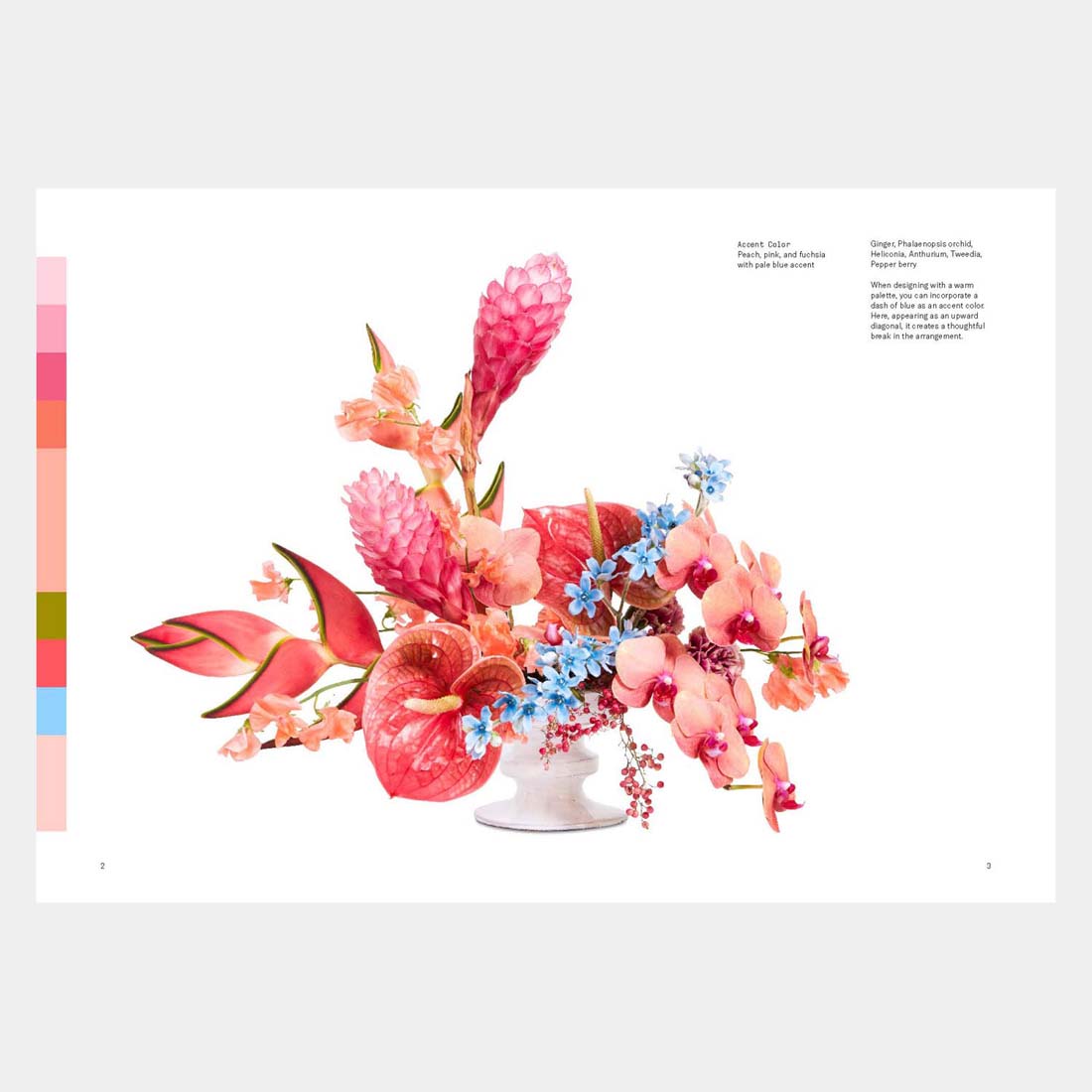 Flower Color Theory