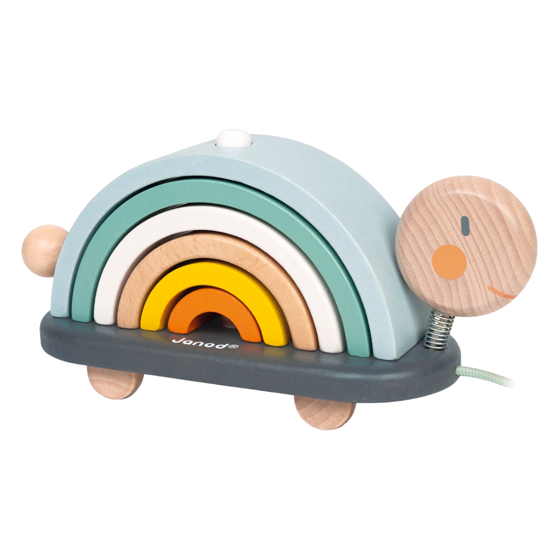 Rainbow Turtle