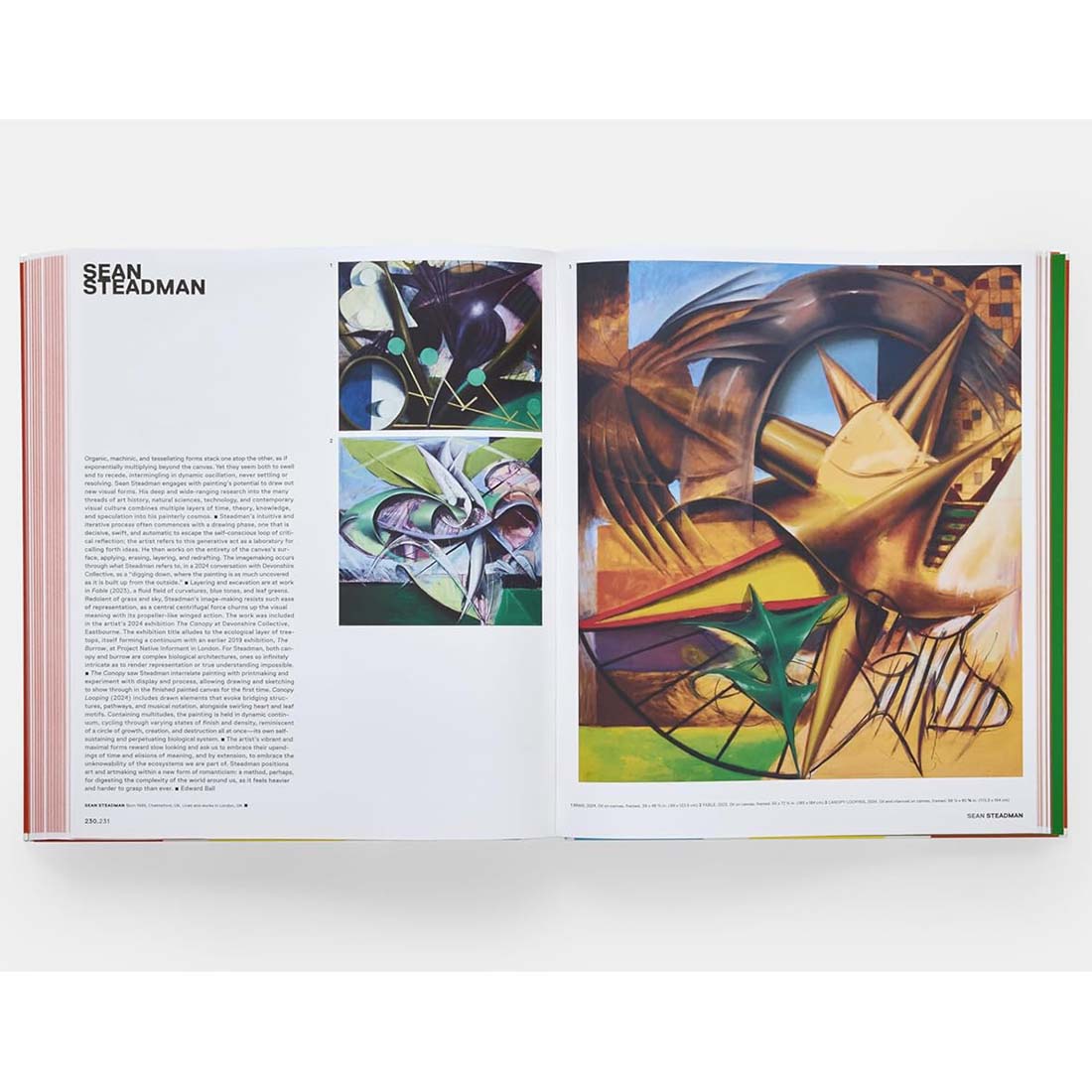 Vitamin P4: New Perspectives in Painting