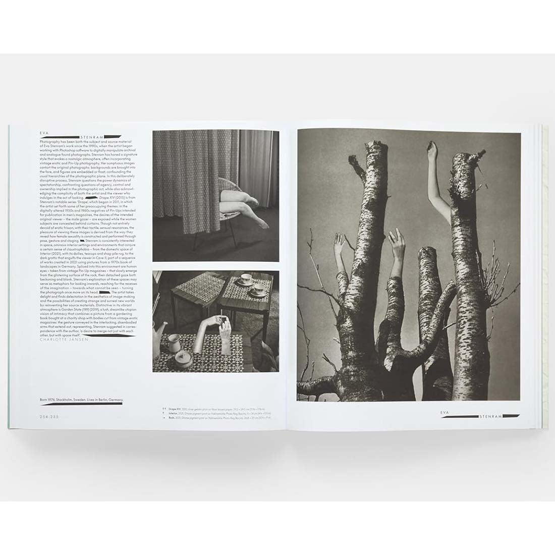 Vitamin C+: Collage in Contemporary Art