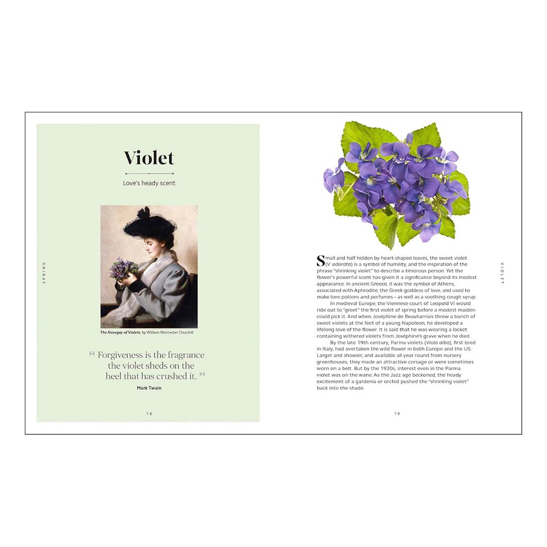 The Secret Language of Flowers