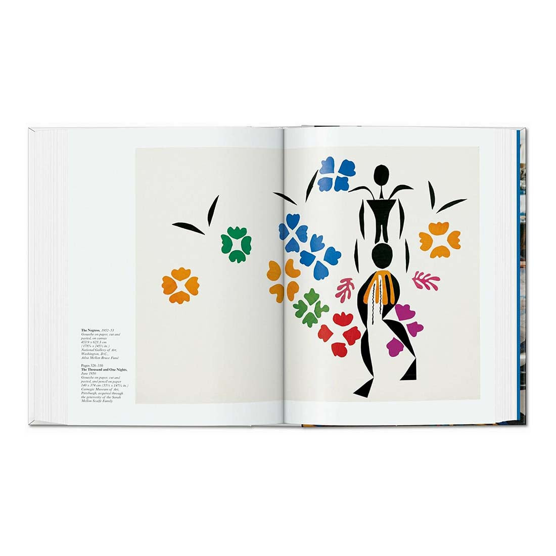 Matisse Cut-Outs