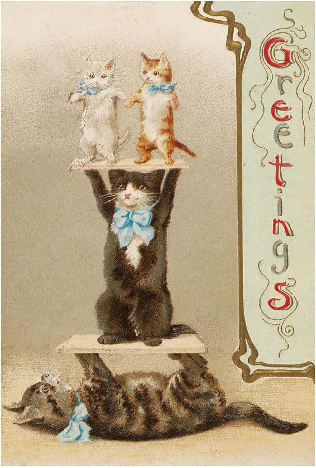 Cats of the V&A 50 Postcards