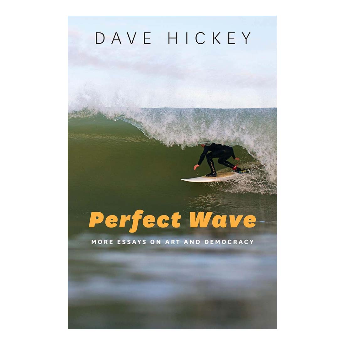 Perfect Wave: More Essays on Art and Democracy