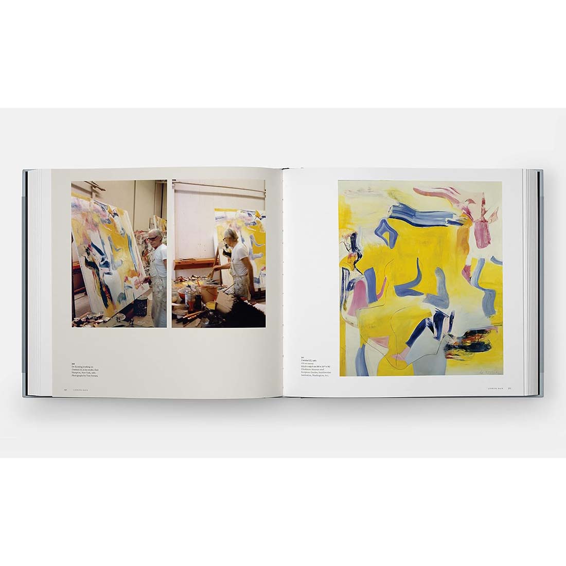 A Way of Living: The Art of Willem de Kooning