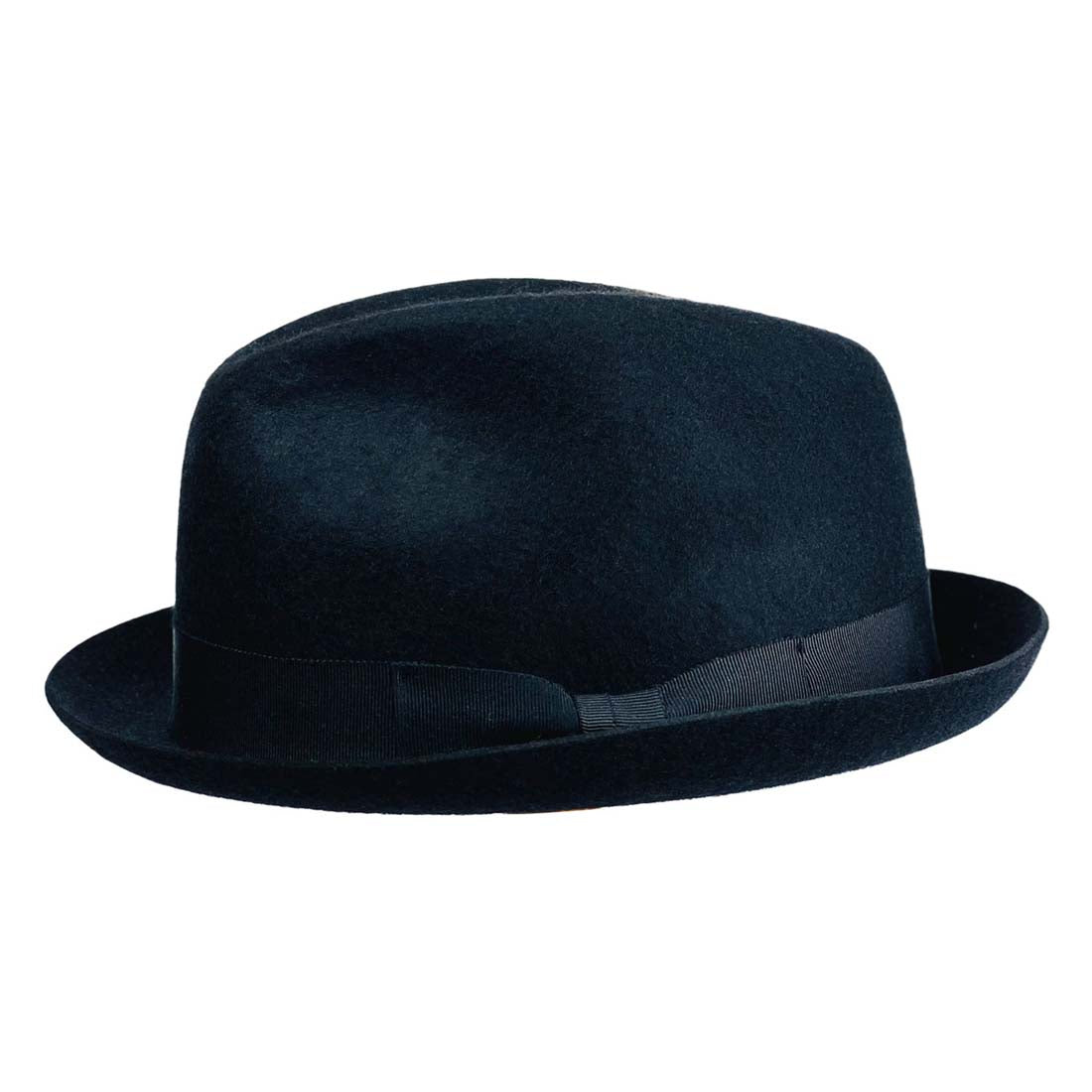 Large Ray Felt Fedora