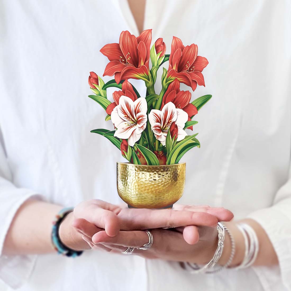 Mini Scarlet Amaryllis Bouquet Card