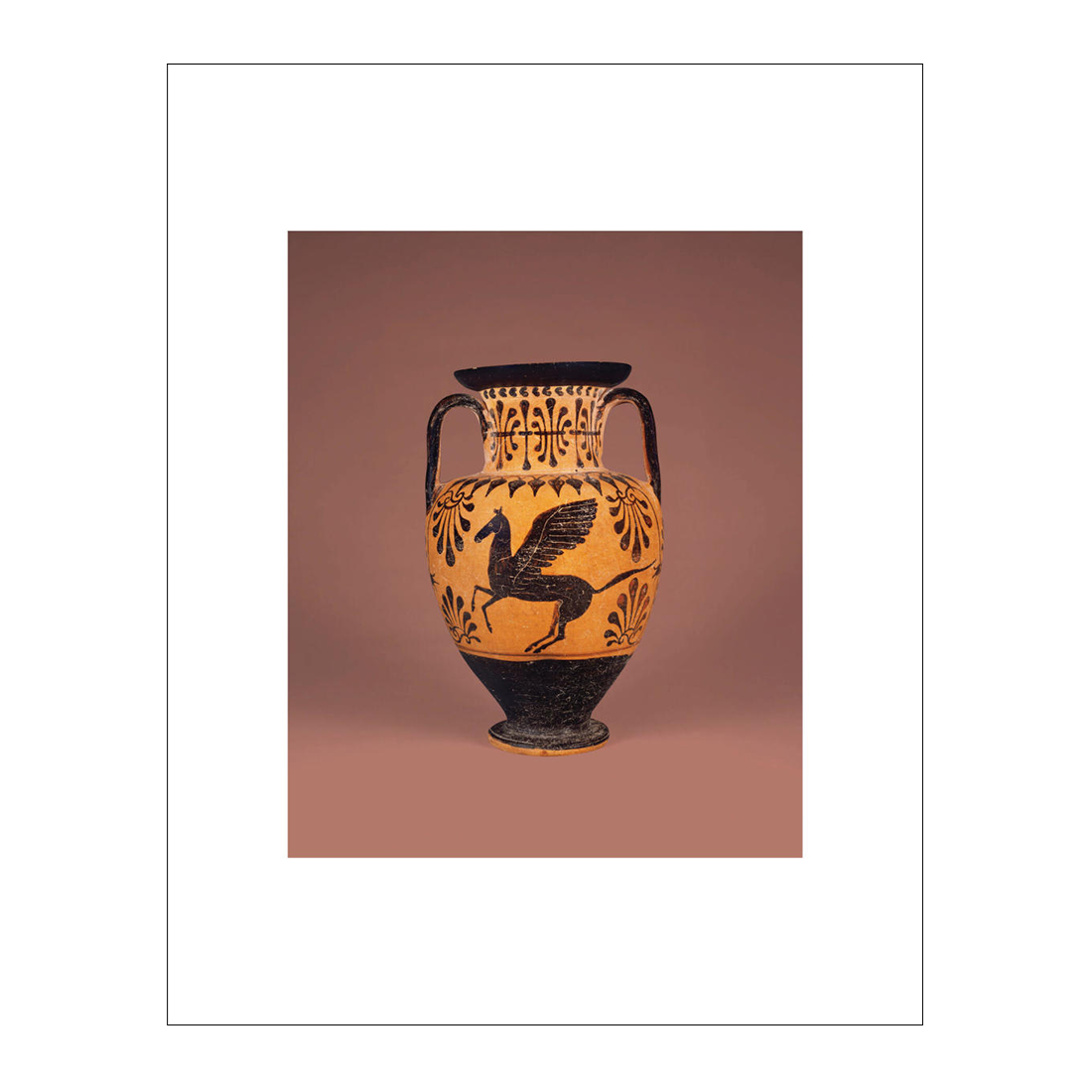 Neck Amphora Print