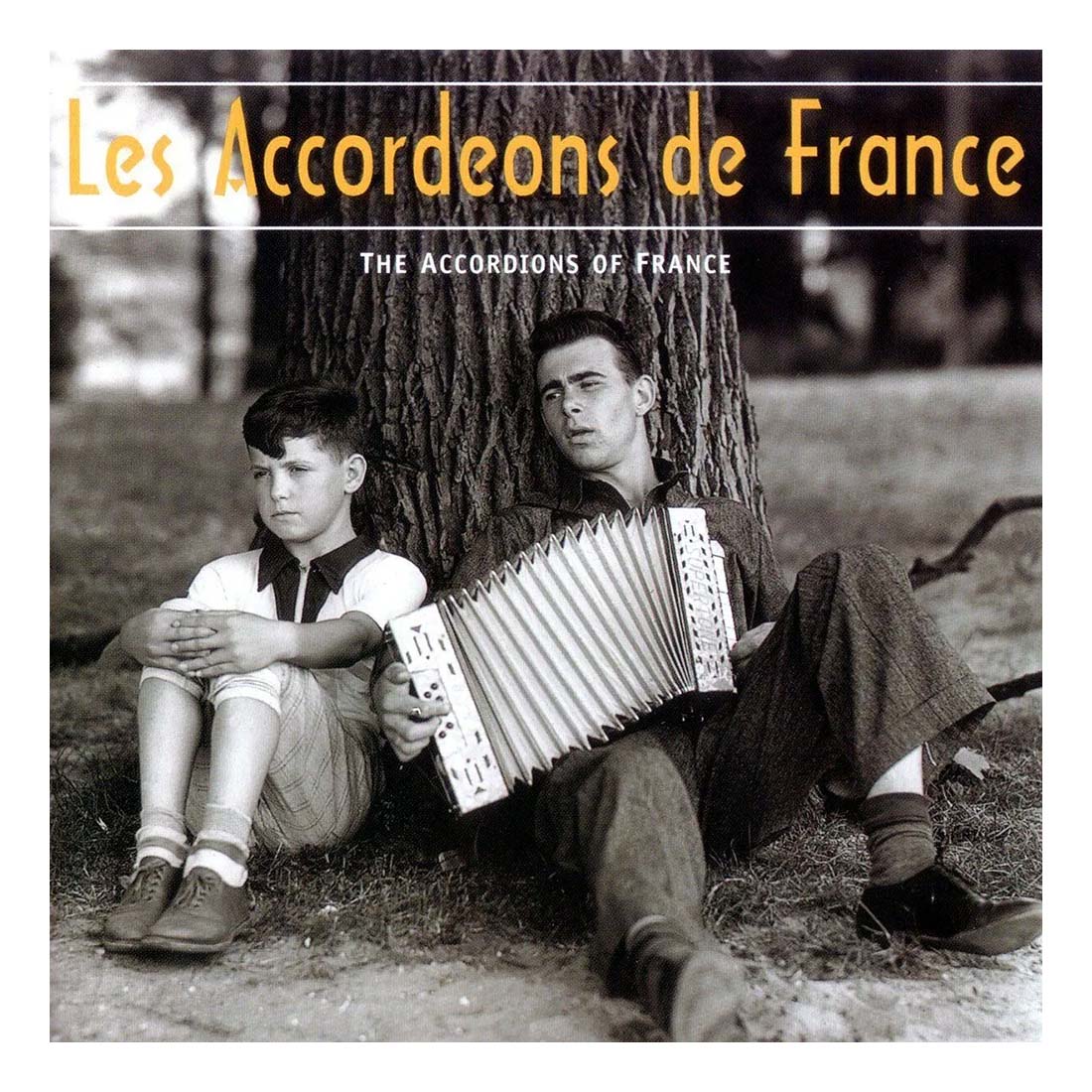 Les Accordeons de France CD