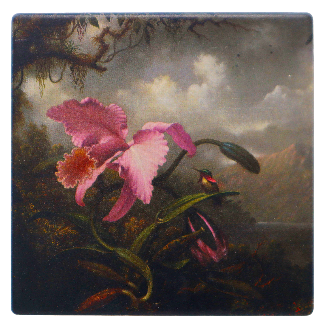 Heade Orchid & Hummingbird Coaster