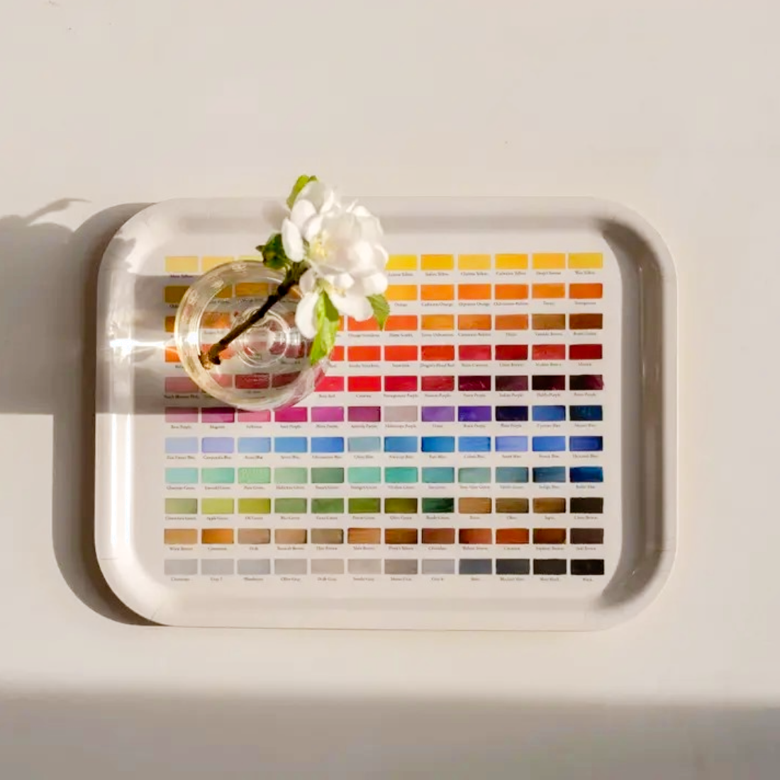 Birchwood Tray Nomenclature of Colors