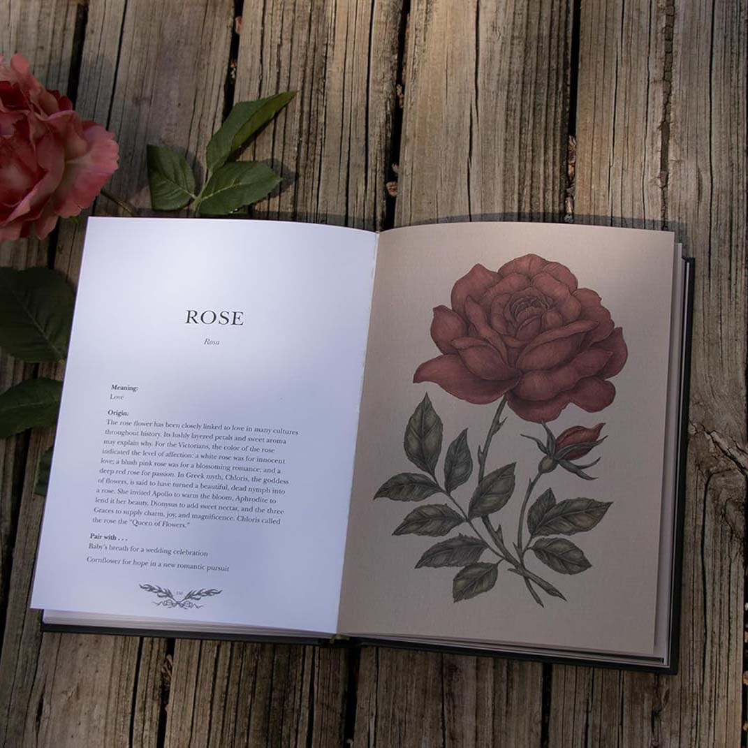 Floriography: An Illustrated Guide to the Victorian Language of Flowers