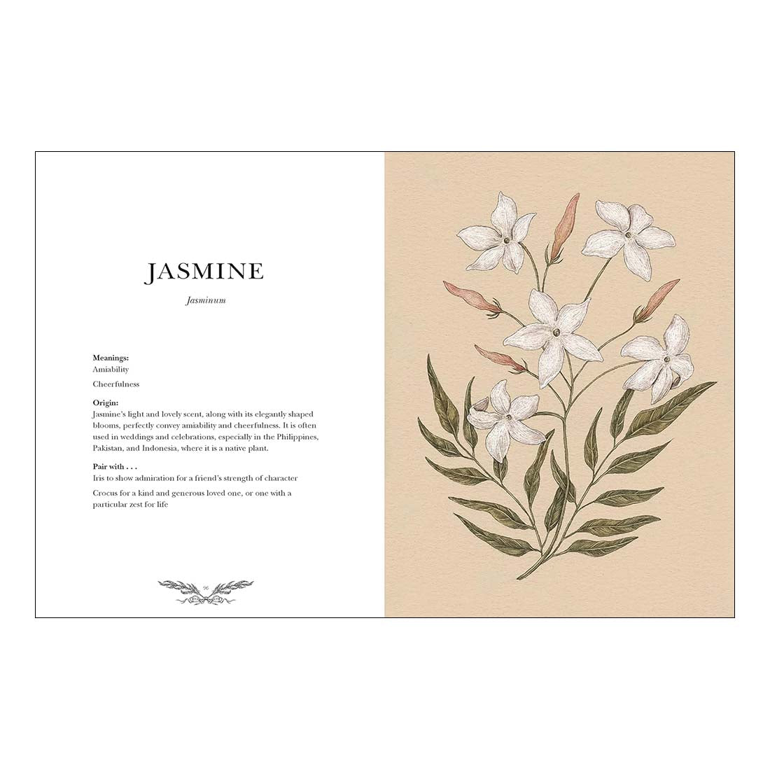 Floriography: An Illustrated Guide to the Victorian Language of Flowers