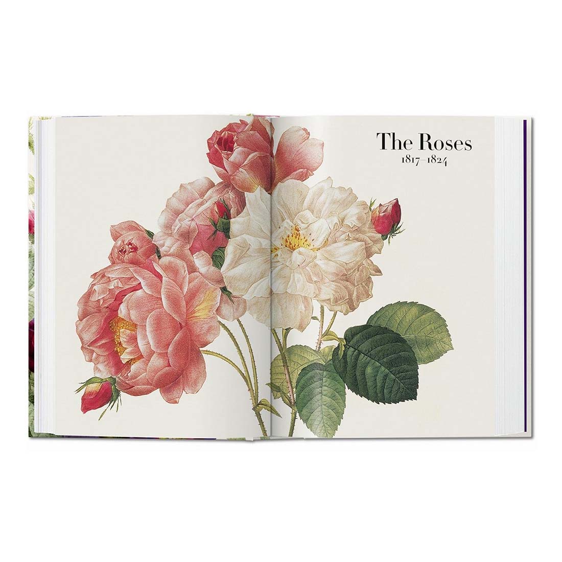 Redoute: The Book of Flowers