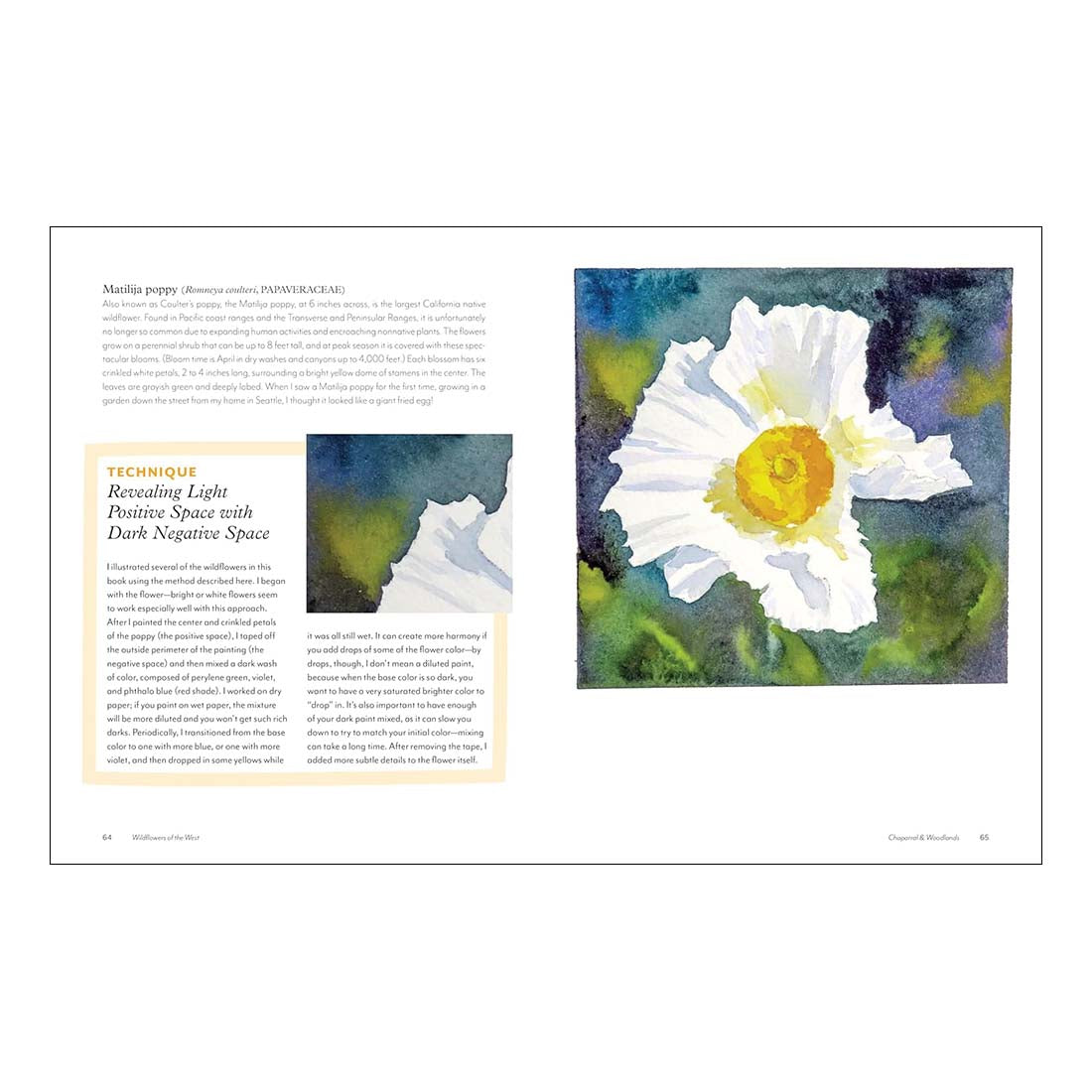 Wildflowers of the West: An Artist's Guide