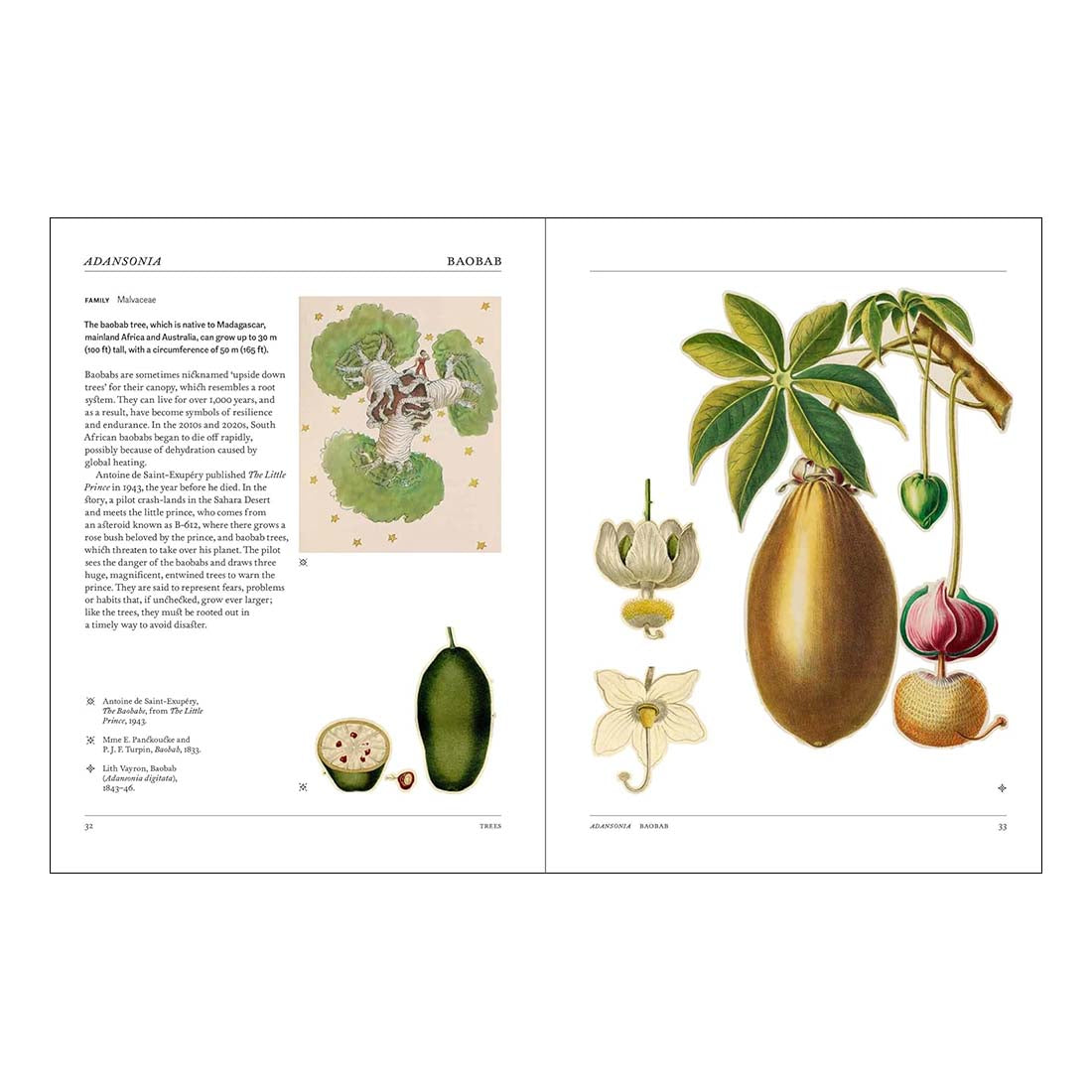 Flora: The Secret Language of Plants in Art