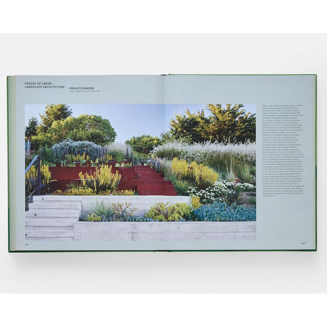 The Contemporary Garden