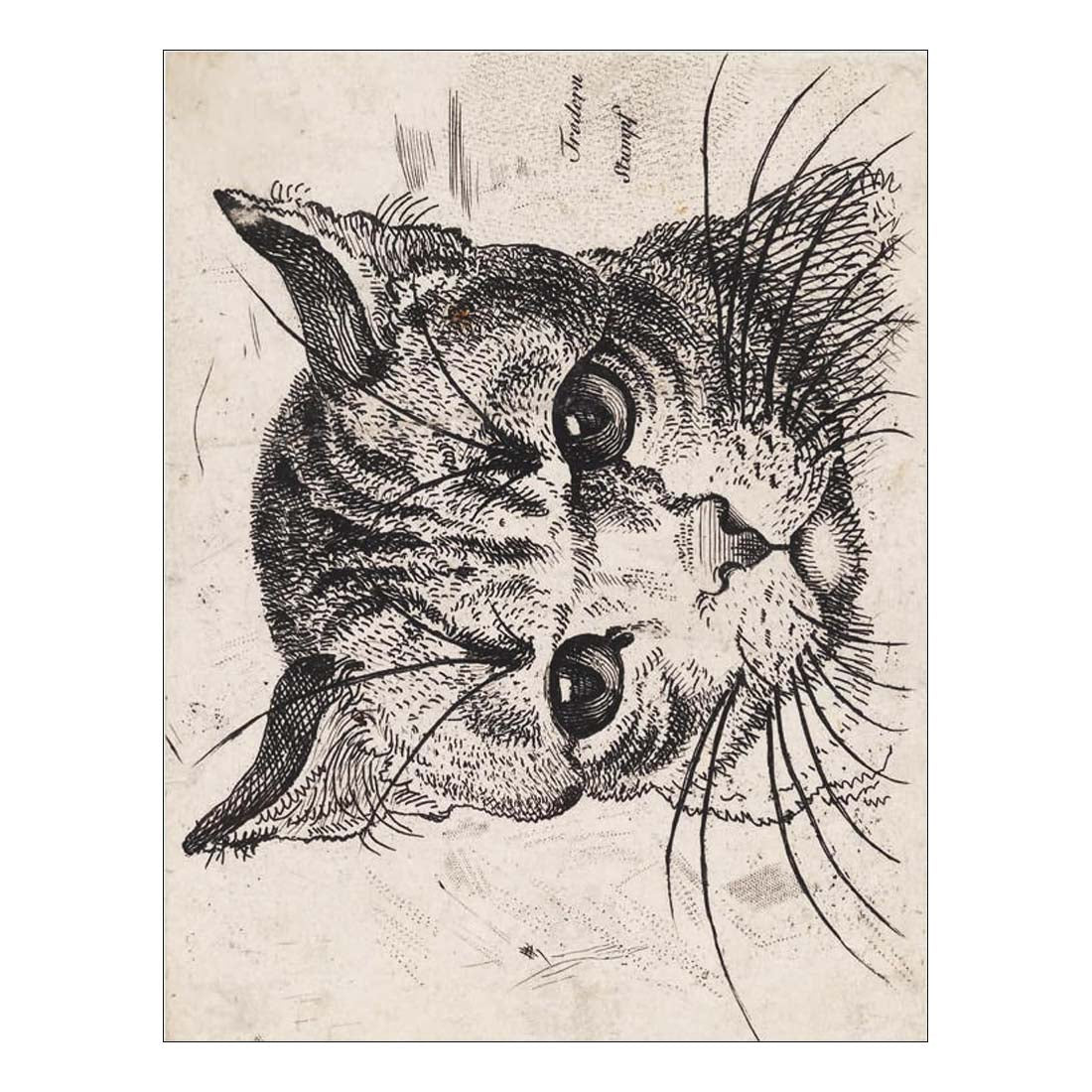 Postcard book cover with a cat illustration and 'Cats of the V&A' text on a green leafy pattern background.