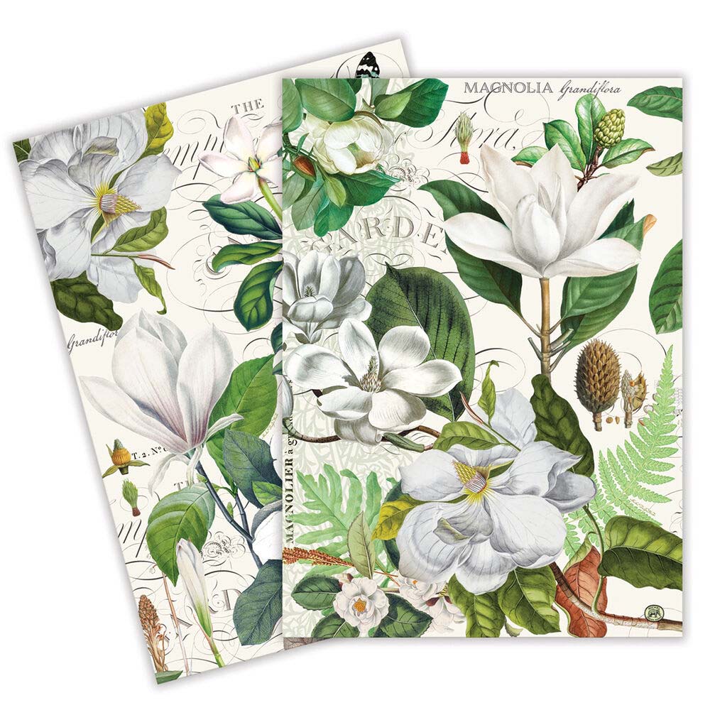 Two botanical prints featuring magnolia flowers and green leaves on a white background.