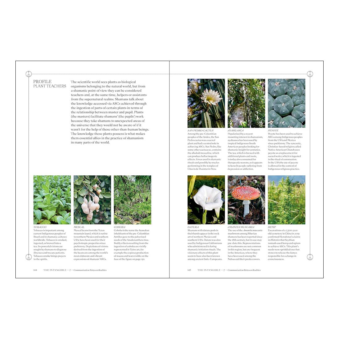 Shamans: The Visual Culture of Animism