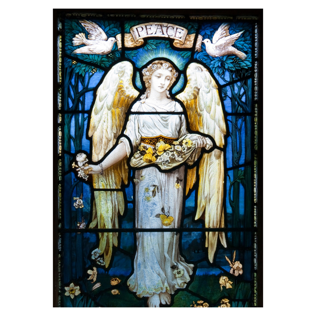 Peace Angel Holiday Cards