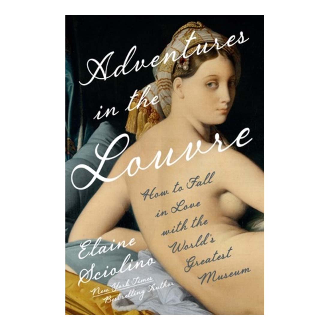 Cover of the book 'Adventures in the Louvre' featuring a classical painting and the title text.