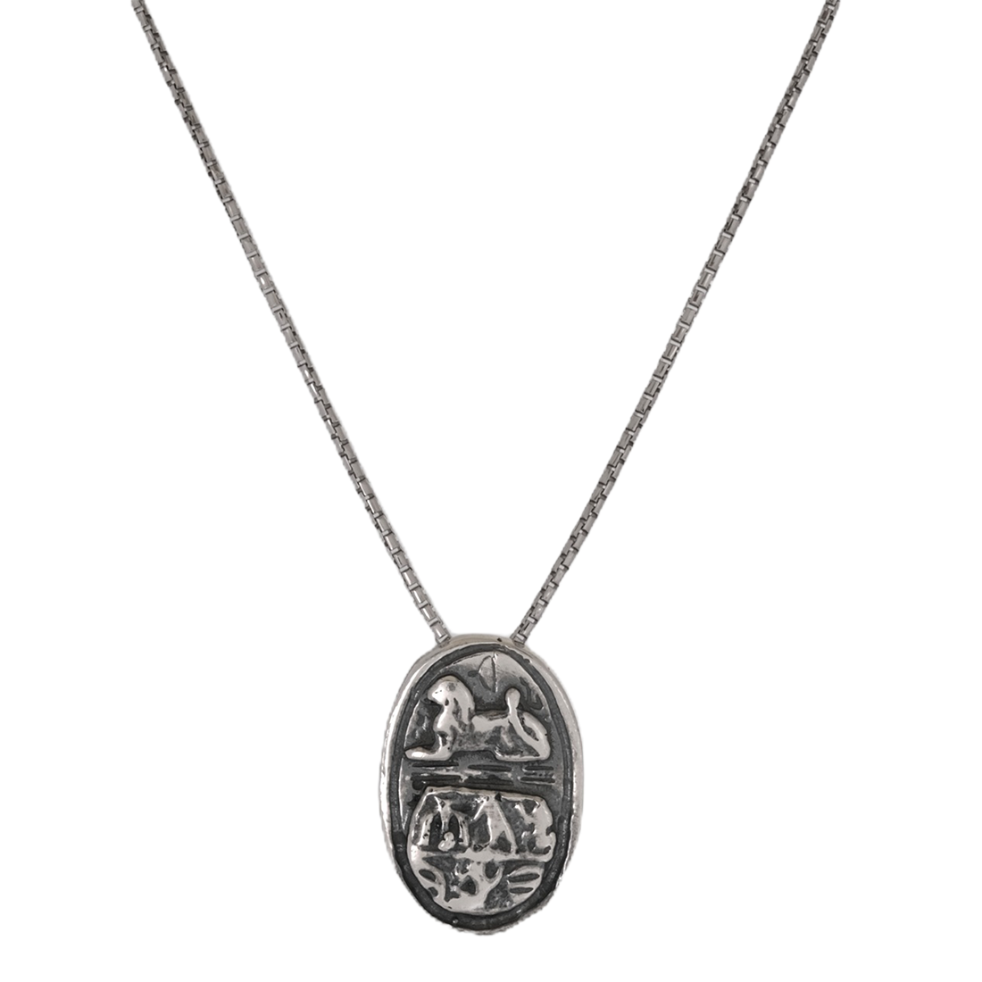 Silver necklace with an oval pendant and lion design