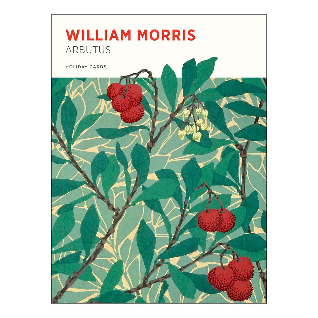 William Morris: Arbutus Holiday Boxed Cards - de Young & Legion of