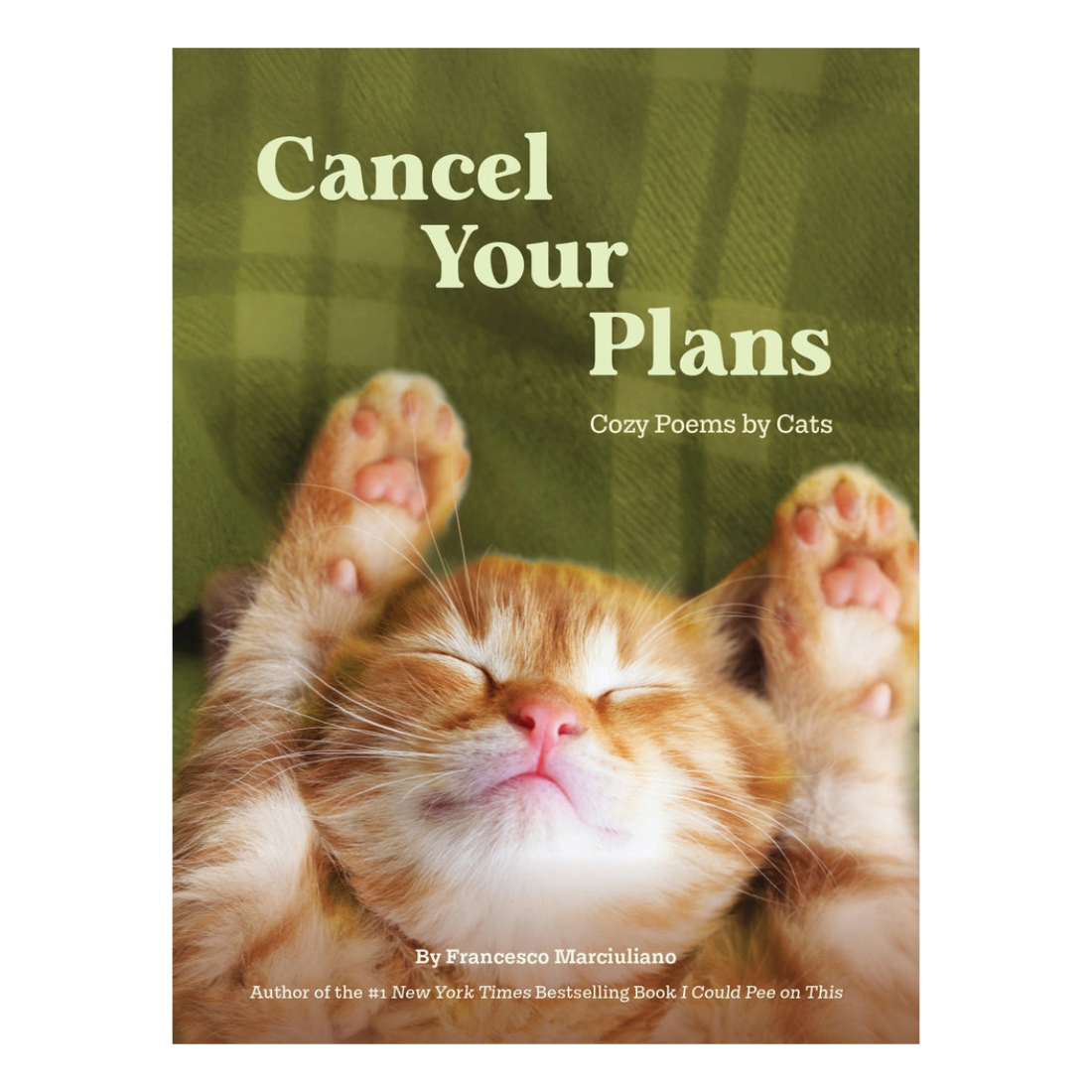 Cancel Your Plans: Cozy Poems by Cats