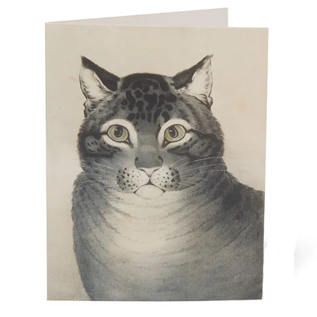 Cats of The Met Notecards