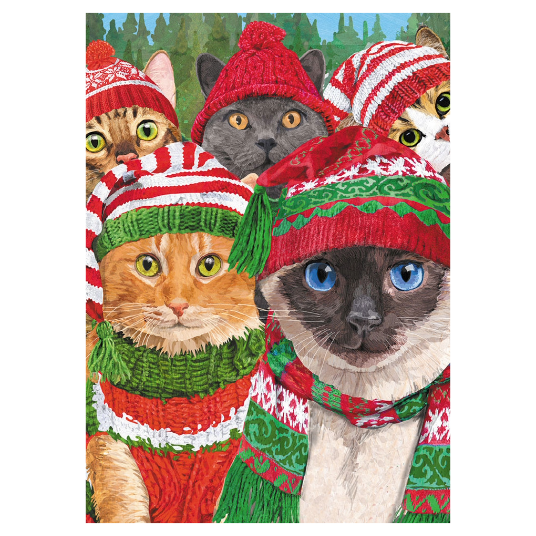Cozy Kitties Holiday Cards