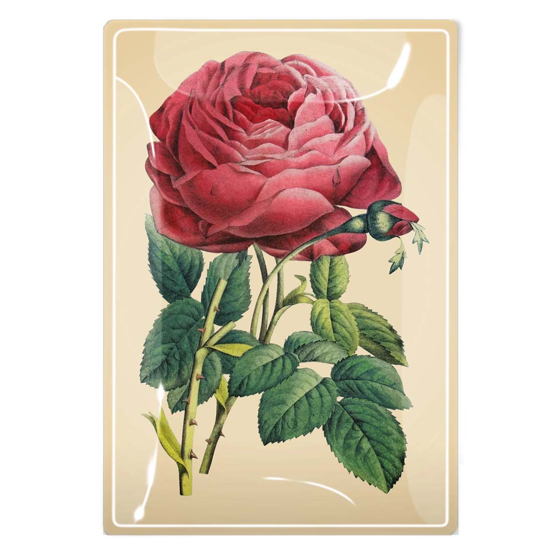 Pink Rose Blossom Decoupage Glass Tray